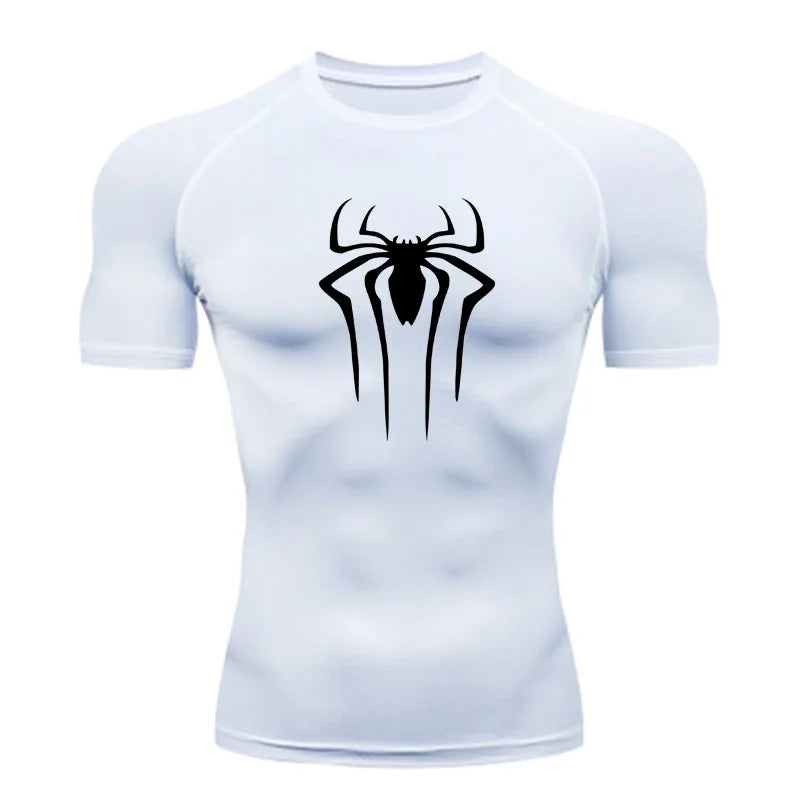 Spider 2014