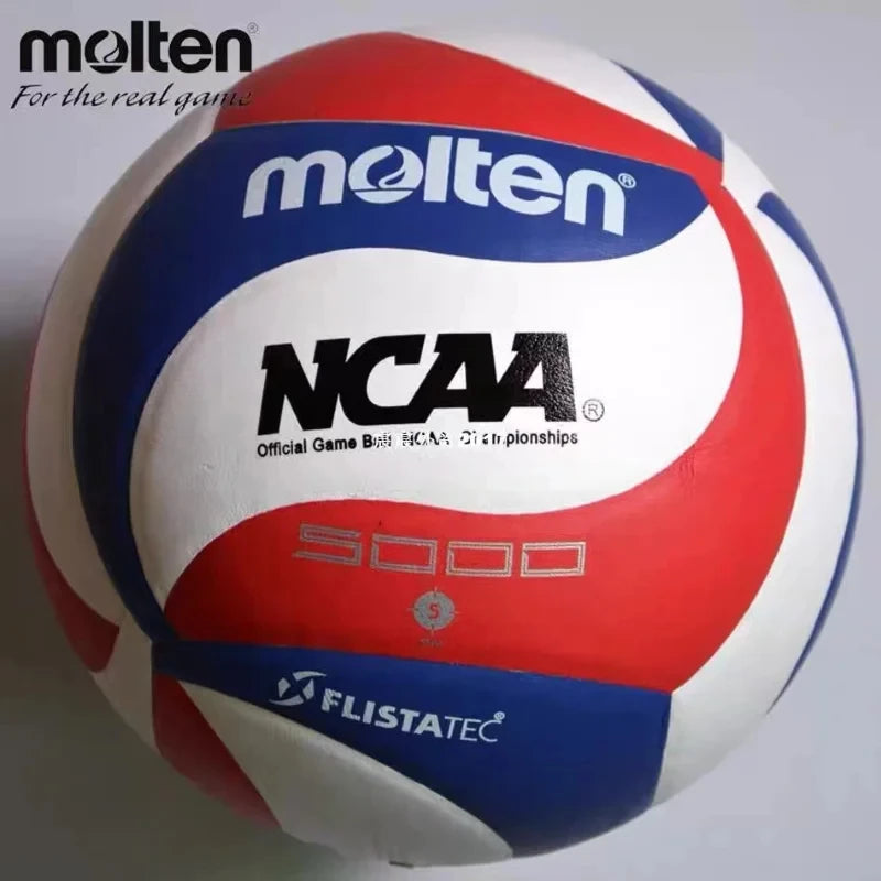 Molten Volleyball 2